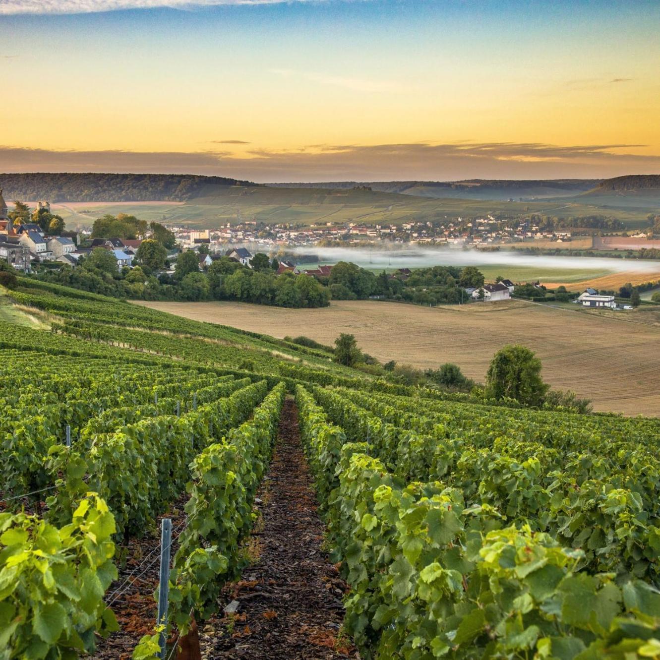 شقة Les Bulles De Bonheur - Au Coeur Du Vignoble Champenois Chouilly المظهر الخارجي الصورة